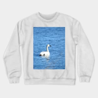 Tundra Swan at Malheur NWR Crewneck Sweatshirt